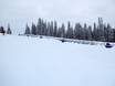 Ski resorts for beginners in Wyoming – Beginners Snow King Mountain – Jackson