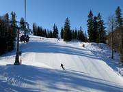 FIS downhill
