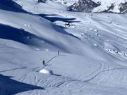 Off-piste slopes at Alp Surlej