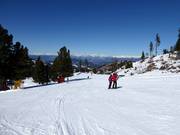Absam slope