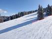 Slope offering Val di Fiemme – Slope offering Alpe Cermis – Cavalese