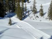 Wurzeralm Trail