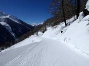 Valley run