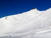 Runs Nebelhorn-Gipfelhang