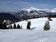 Herbstgaden slope