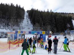 Zwieselbergbahn