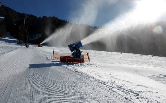 Snow reliability Tennen Mountains – Snow reliability Werfenweng