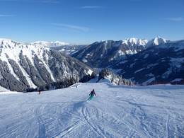 Riesneralm – Donnersbachwald