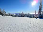 Easy and wide slope in the Sun Peaks ski area