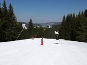Easy slope 12 in the ski area