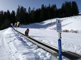 Zauberteppich 69m