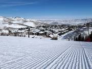Excellent slope grooming