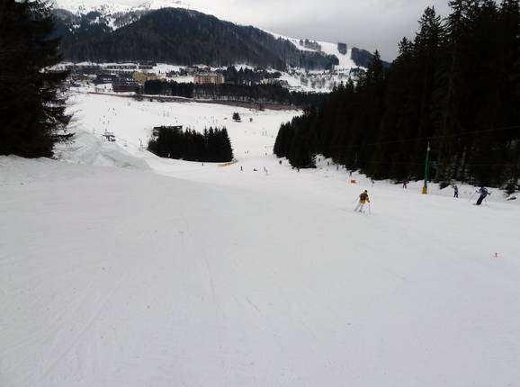 Downhill 4