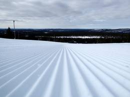 Ylläs