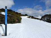 Trail in Falls Creek