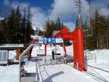 Elk Quad Chair