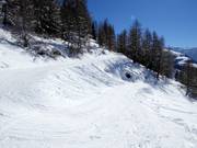 Easy Fäuder slope