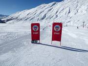 Ski race