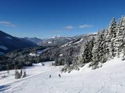 View over the ski area from Großberg towards Neuberg