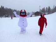 The snowman Valle
