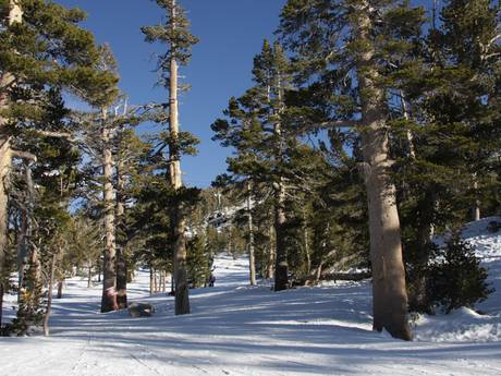 Ski resorts for advanced skiers and freeriding Lake Tahoe – Advanced skiers, freeriders Heavenly