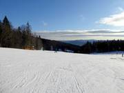 Easy slope Wenzelwiese