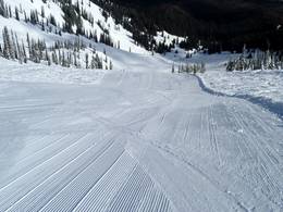 Fernie