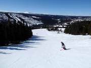 Slope Fjelløypa