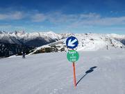 Easy Skier Line for beginners