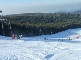 Mehliskopf 2