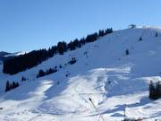 View of the challenging slopes at Waldkopf