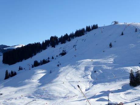 Ski resorts for advanced skiers and freeriding Rosenheim – Advanced skiers, freeriders Sudelfeld – Bayrischzell