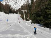 Malchbachlift - T-bar