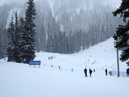 Whitewater – Nelson