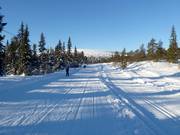 Trail in Högfjället (Sälen)