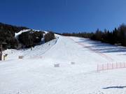 Slope Salizzona No. 8