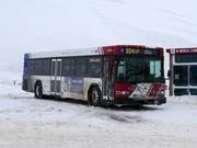 UTA ski bus