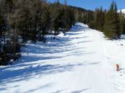 Esicko downhill run