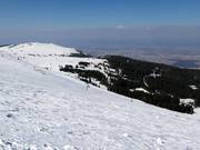 Powder slopes above Aleko