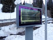Digital information in multiple languages