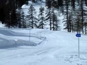High-altitude cross-country trail in Montgenèvre