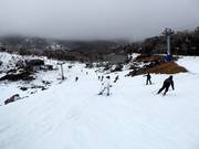 Slope at Terminal Quad Blue Cow