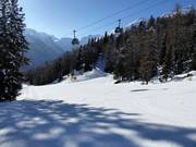 Valley run Tarlenta
