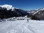 Slope 20b Garfrescha
