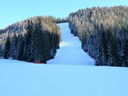 Difficult slope Holzriese 2