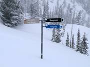 Signage