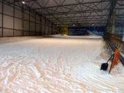 Beginner slope