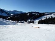 Uisar downhill run
