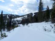 Black Forest and Vimy Ridge 