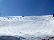 Köpfle run